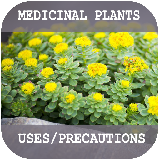 Medicinal Plants and their uses