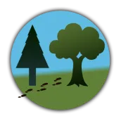 A Walk In The Woods