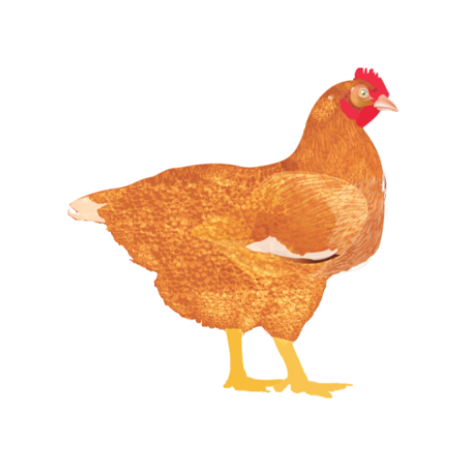 My Poultry Manager - Farm app