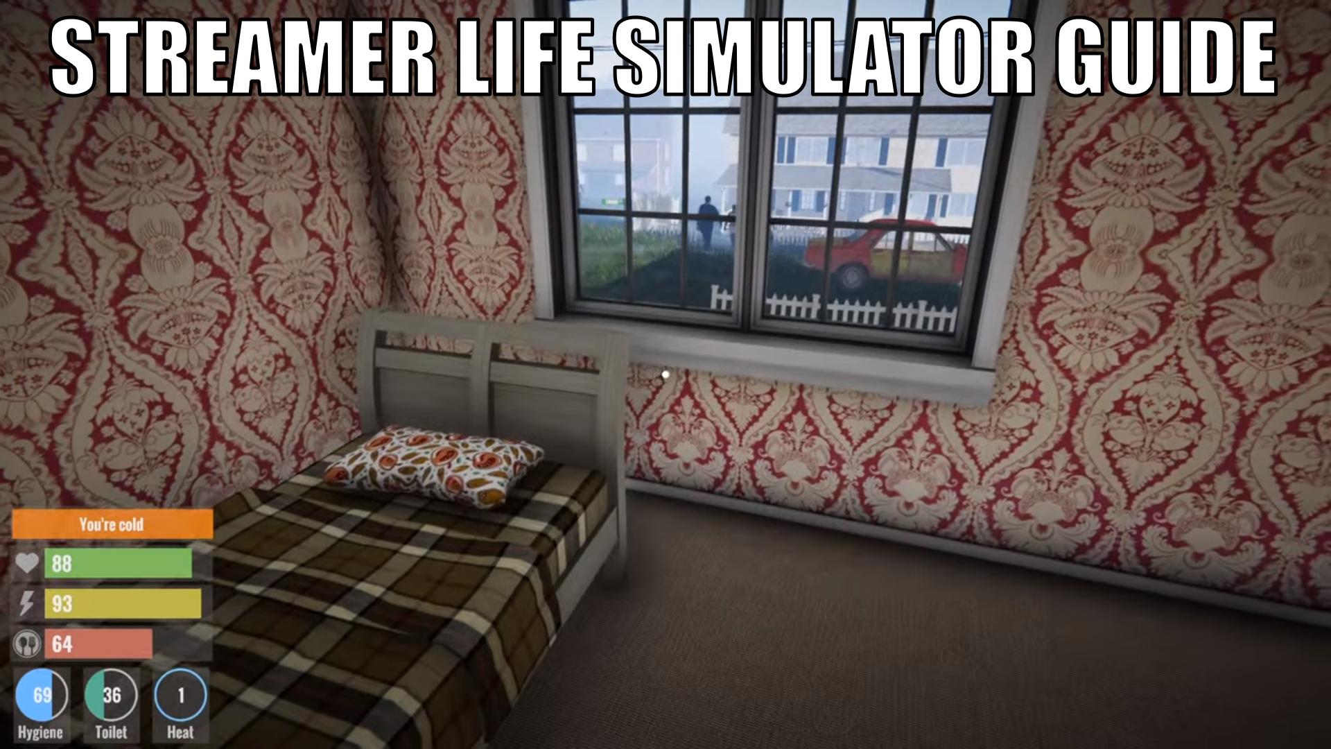 Streamer Life Simulator System Requirements