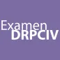 Chestionare Auto Examen DRPCIV