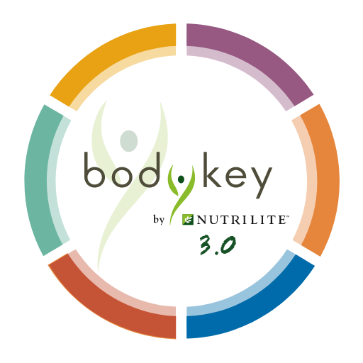 Aplikasi BodyKey