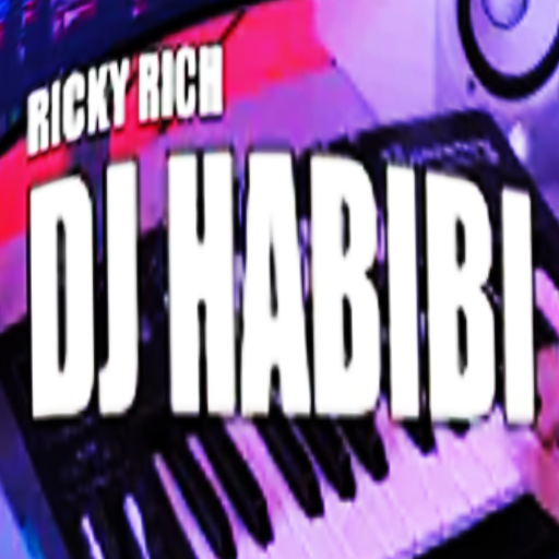 Dj Habibi Domino