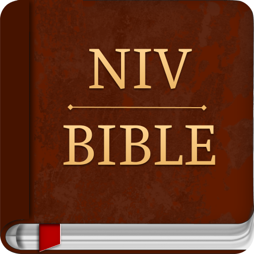 NIV Study Bible : NIV Bible