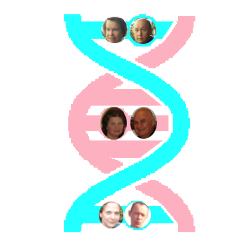 Genealogical trees of families