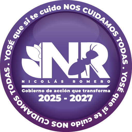 Botón Violeta Mujer Protegida