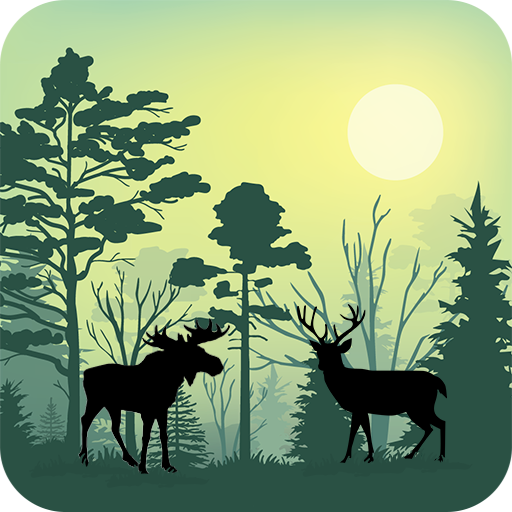Forest Animals Simulator