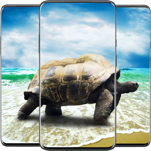 Tortoise Wallpaper