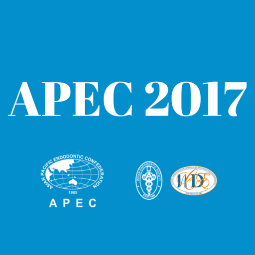 APEC 17