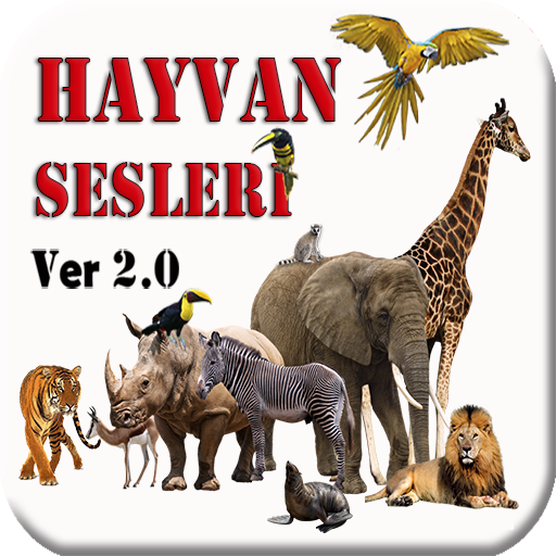 Hayvan Sesleri İnternetsiz