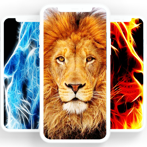 Lion Wallpaper