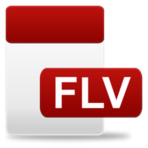 FLV Video Player