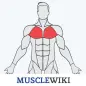 MuscleWiki Fitness
