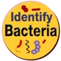 Bacteria Identification Made E