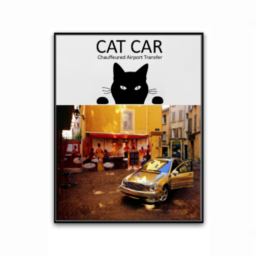 CAT CAR
