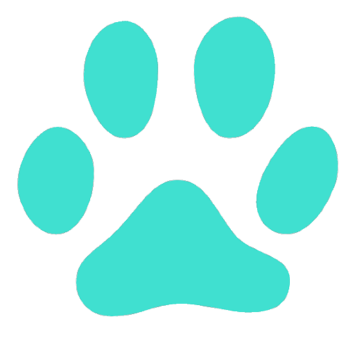 Cute Notepad - Calendar