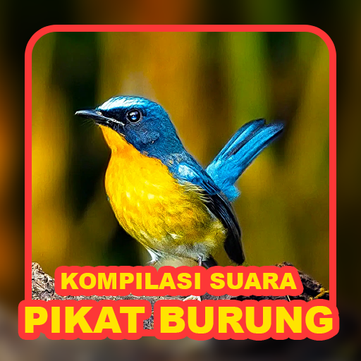 Suara Burung: Pikat & Masteran