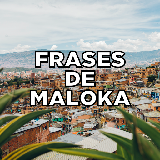 Frases de Maloka