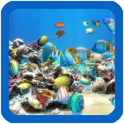 Aquarium Live Wallpaper