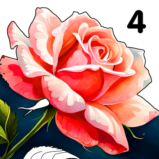 Oil Color Paint By Number