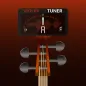 Violin Tuner Guru: Biola
