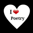 Pashto Shayari