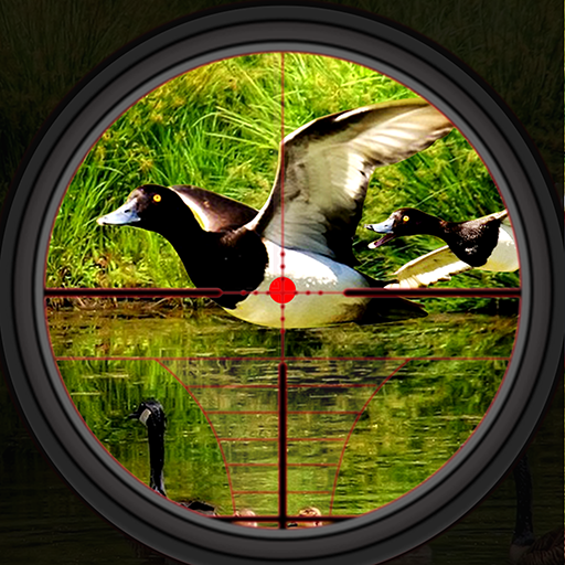 Simulador de caça ao pato selv