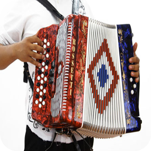 Learn to play the accordion