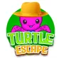 Little Turtle Escape