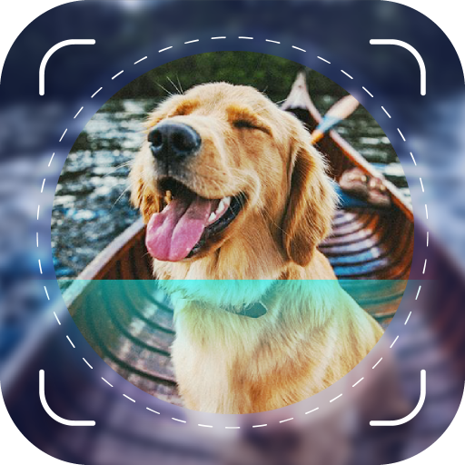 Dog Scanner: Breed Identifier