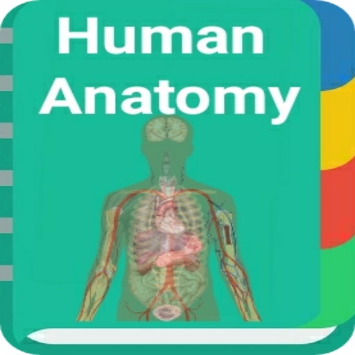 Human Anatomy