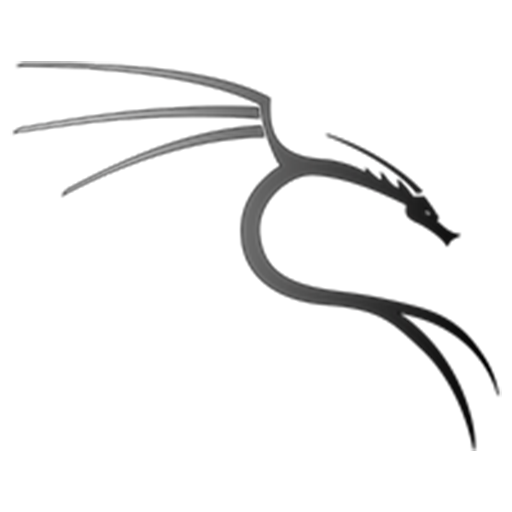 Kali Linux Installation Guide