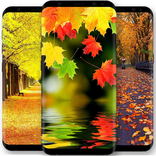 Autumn Wallpaper