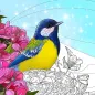 Birds Coloring Art Book