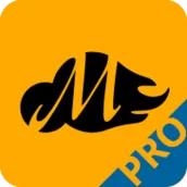 Movilizer Pro