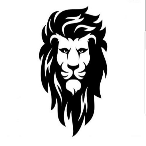 LION VPN &SECURITY PROXY