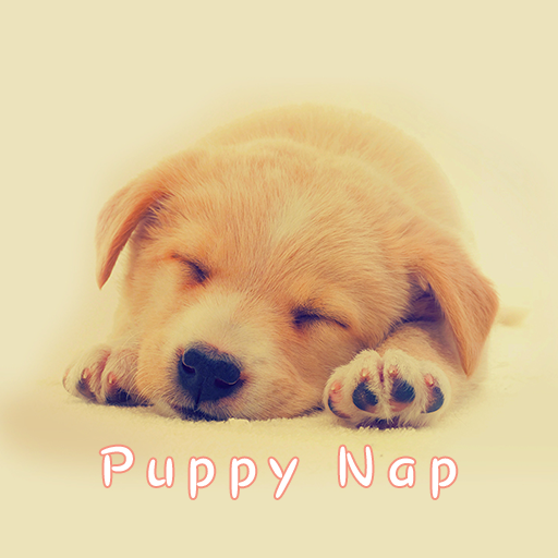 Puppy Nap Theme +HOME