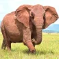 Giant Elephant : Elephant Game