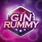 Gin Rummy Offline - Card Game