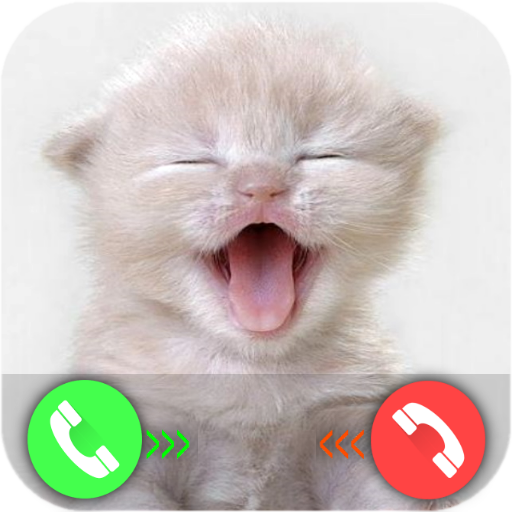 Tiny Cat Prank Call