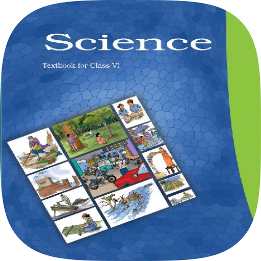 6th Science NCERT Solution