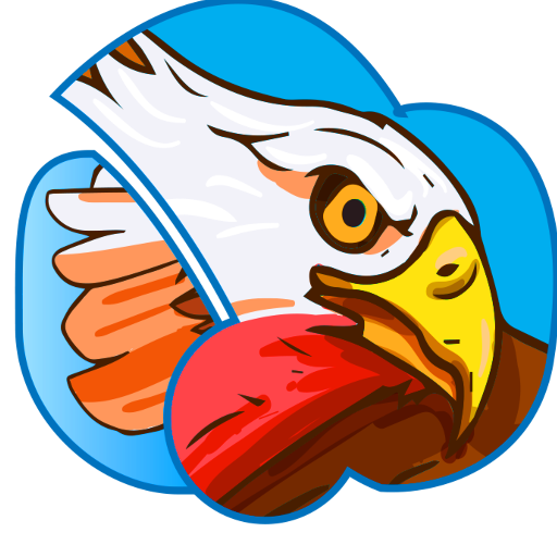 Sky Seagull VPN