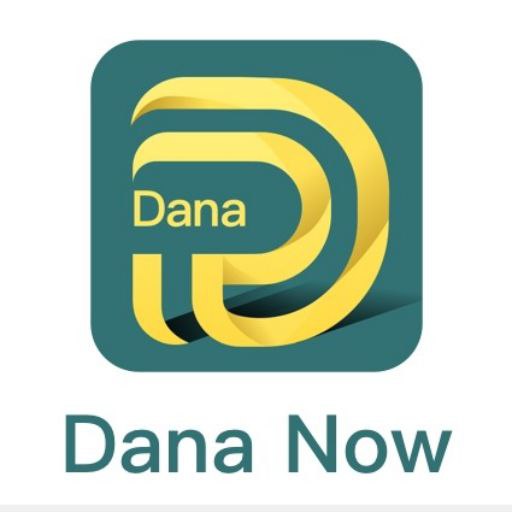 Dana Now Pinjaman Online Guide