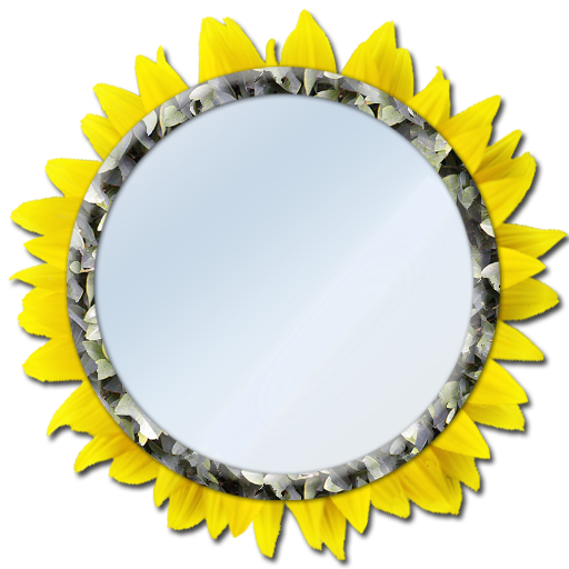 Cermin & Selfie - Cahaya, Zum