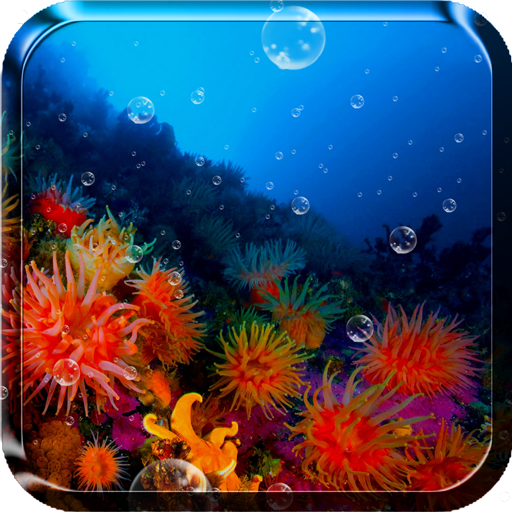 Coral Reef Live Wallpaper