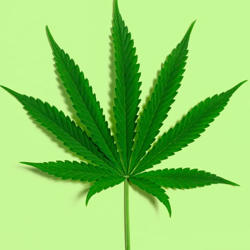 Marijuana Wallpaper