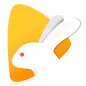 Bunny Live - Live Stream