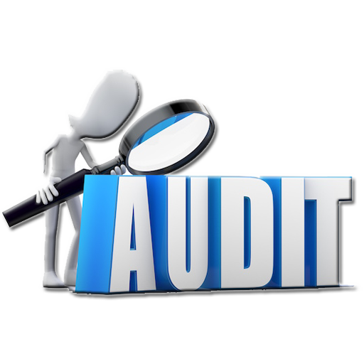 Learn Auditing