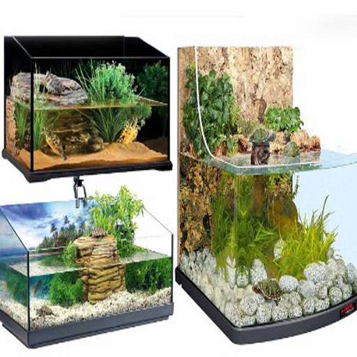 aquarium design