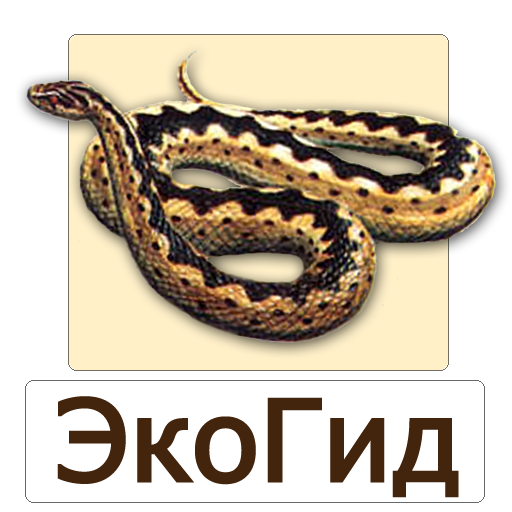 EcoGuide: Russian Reptiles